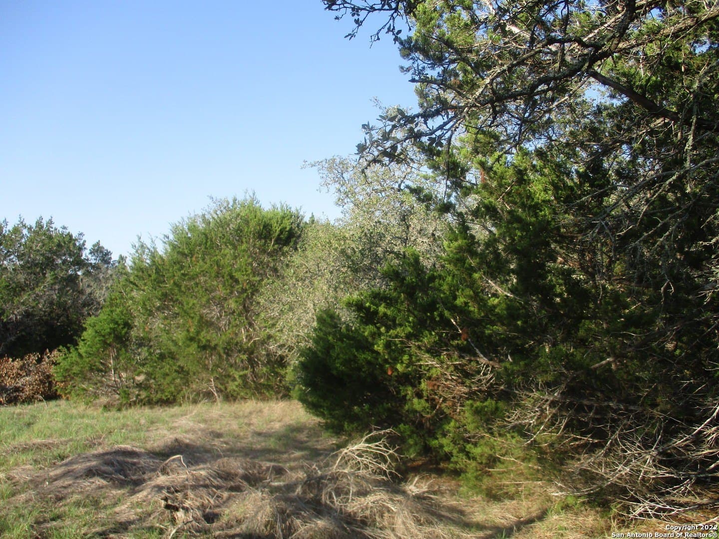1.02 acres in Comal County - photo 7