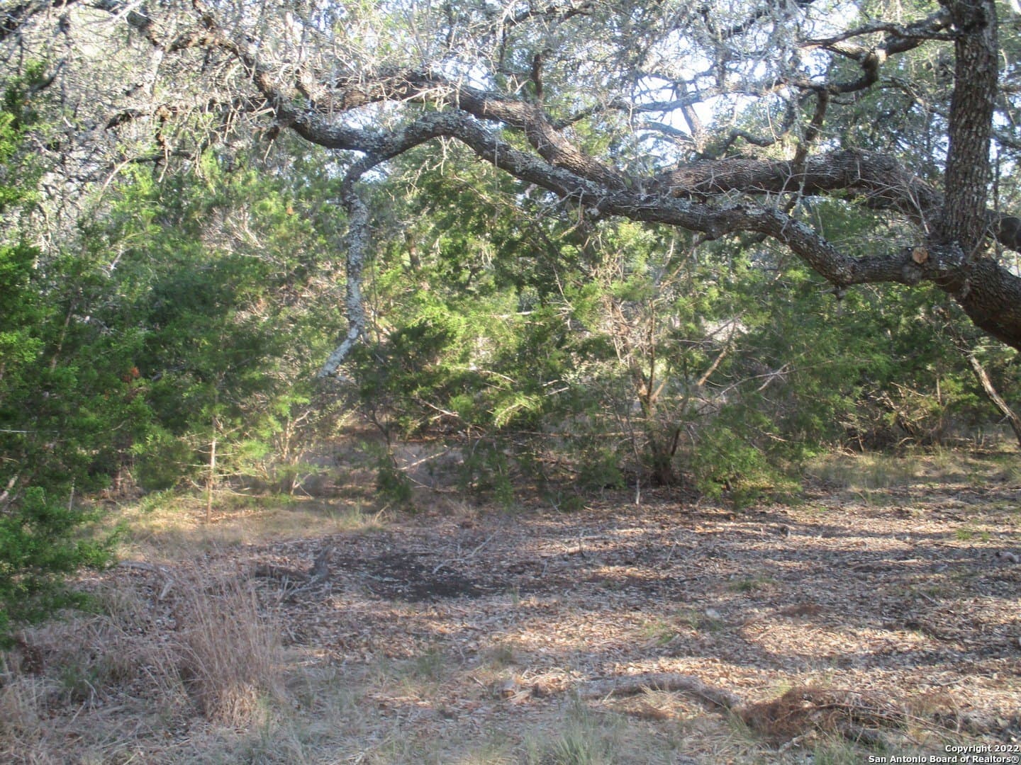 1.02 acres in Comal County - photo 15