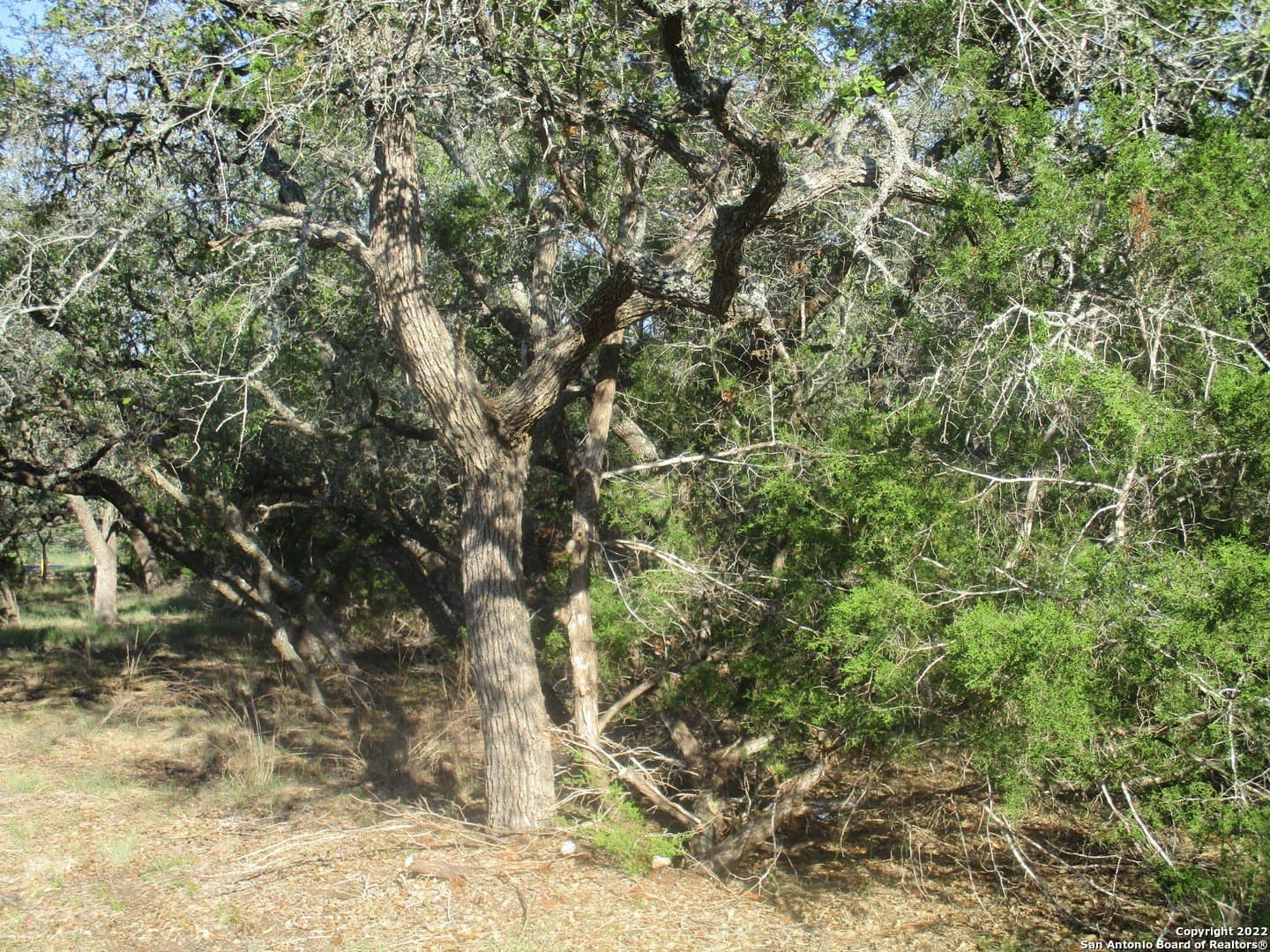 1.02 acres in Comal County - photo 13