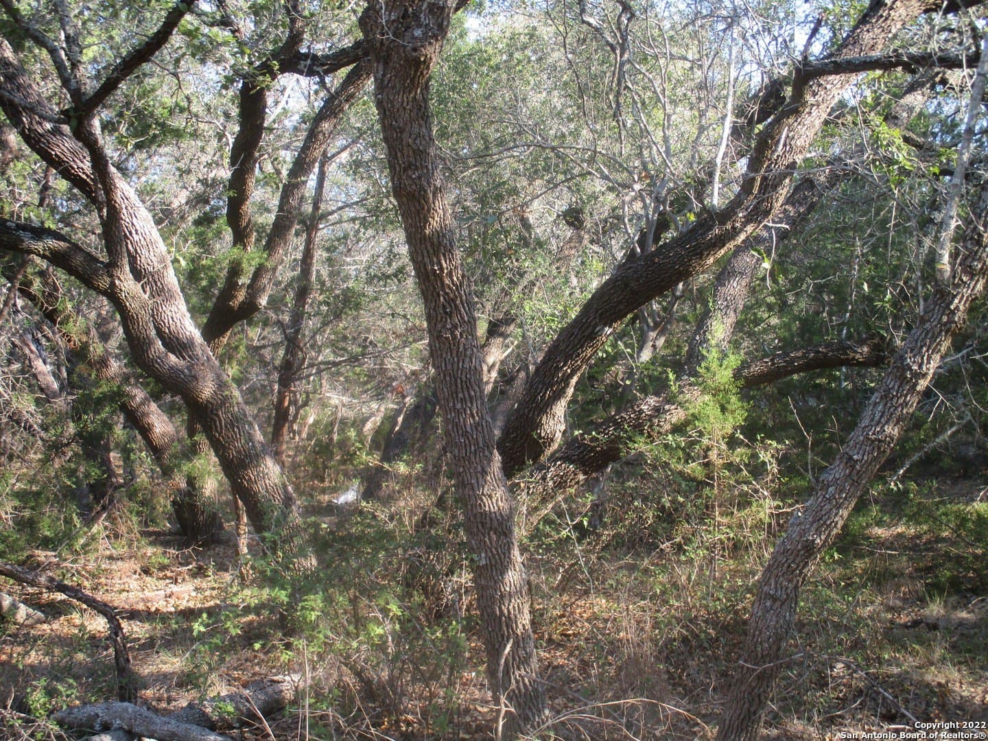 1.02 acres in Comal County - photo 12