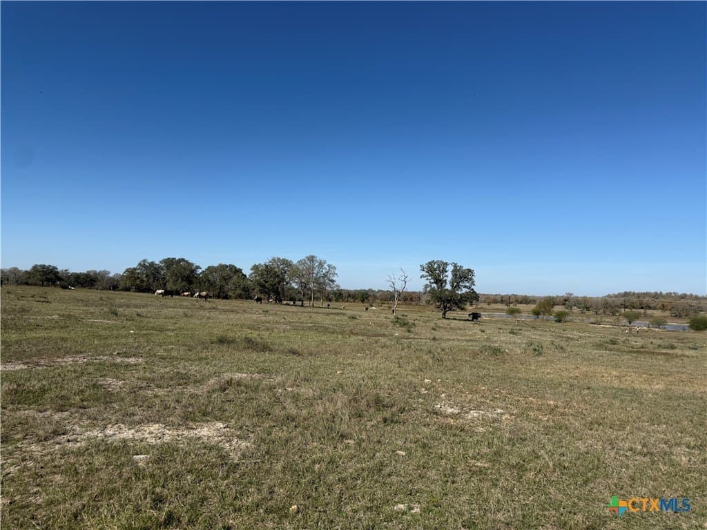 10.01 acres in Gonzales County featured view