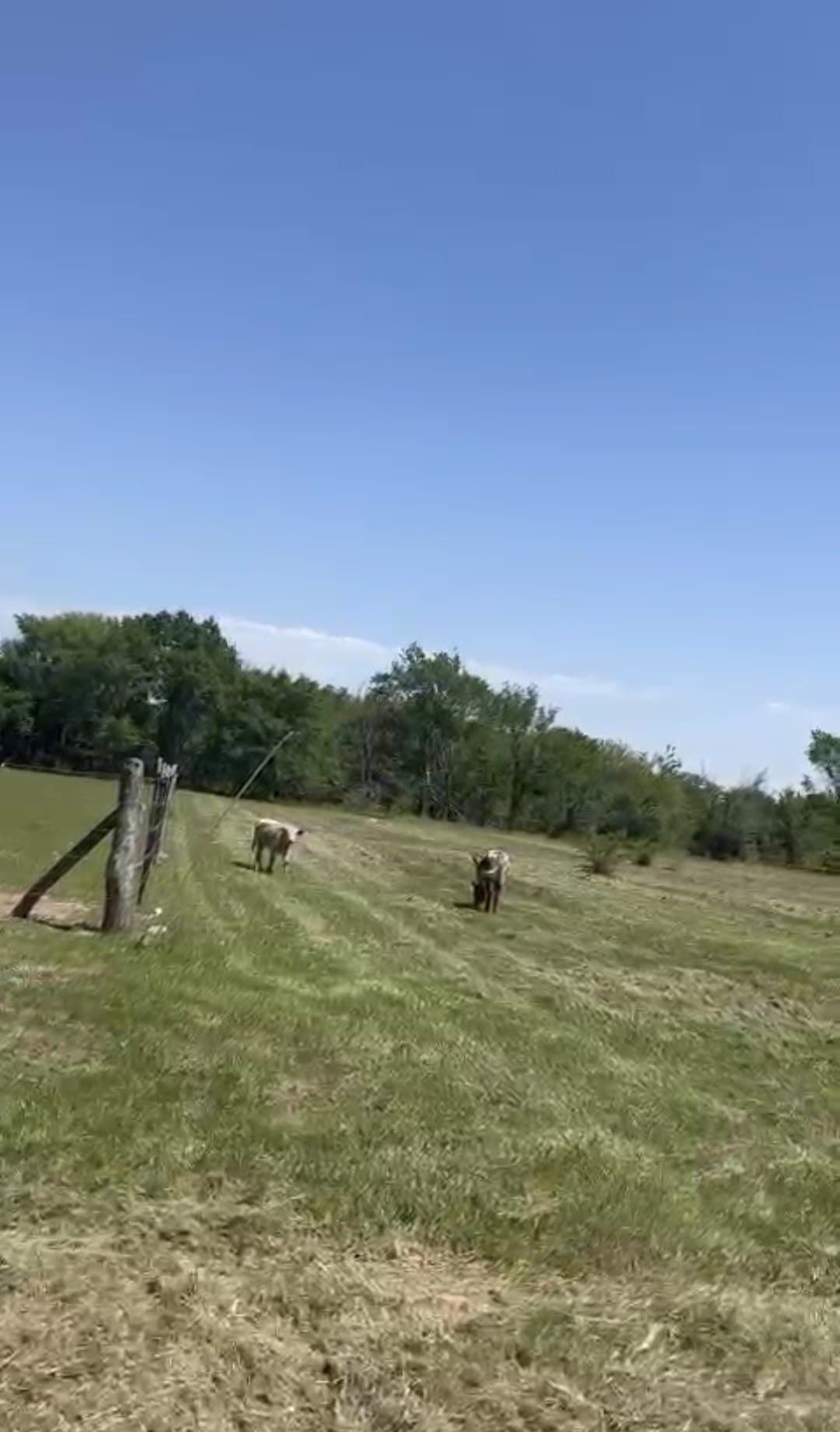 5.65 acres in Van Zandt County featured view