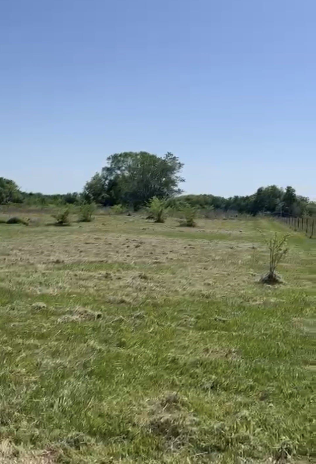 5.65 acres in Van Zandt County gallery image 4