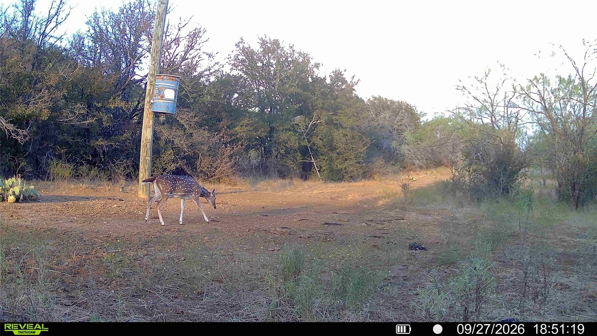 11.44 acres in Palo Pinto County - photo 11