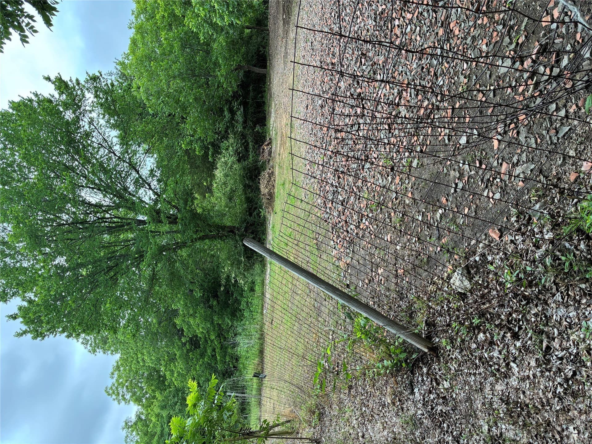 0.28 acres in Dallas County gallery image 3