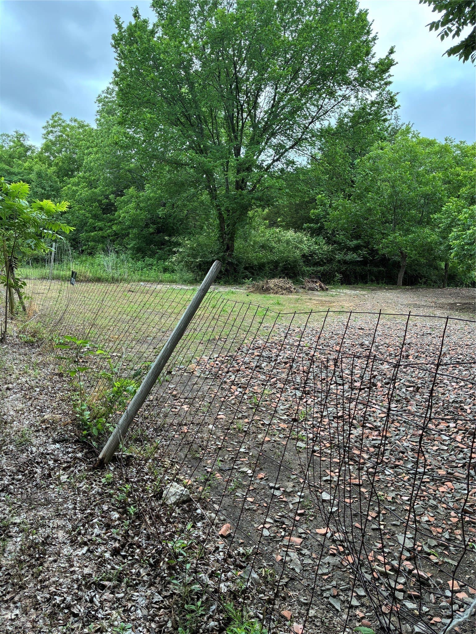 0.28 acres in Dallas County - photo 5