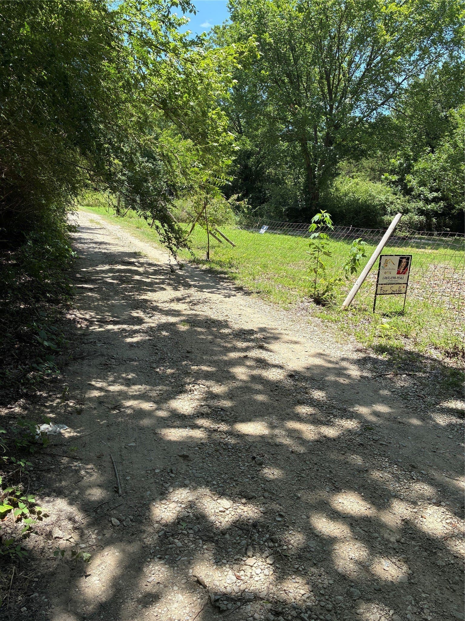 0.28 acres in Dallas County - photo 8