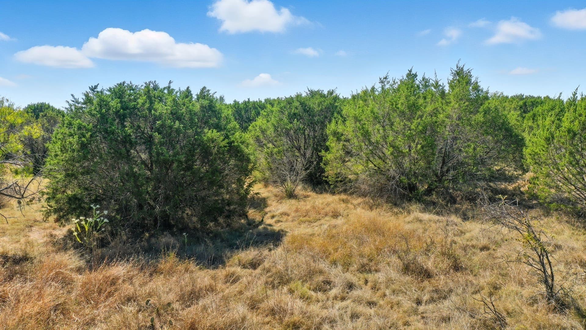 5.15 acres in Erath County - photo 14