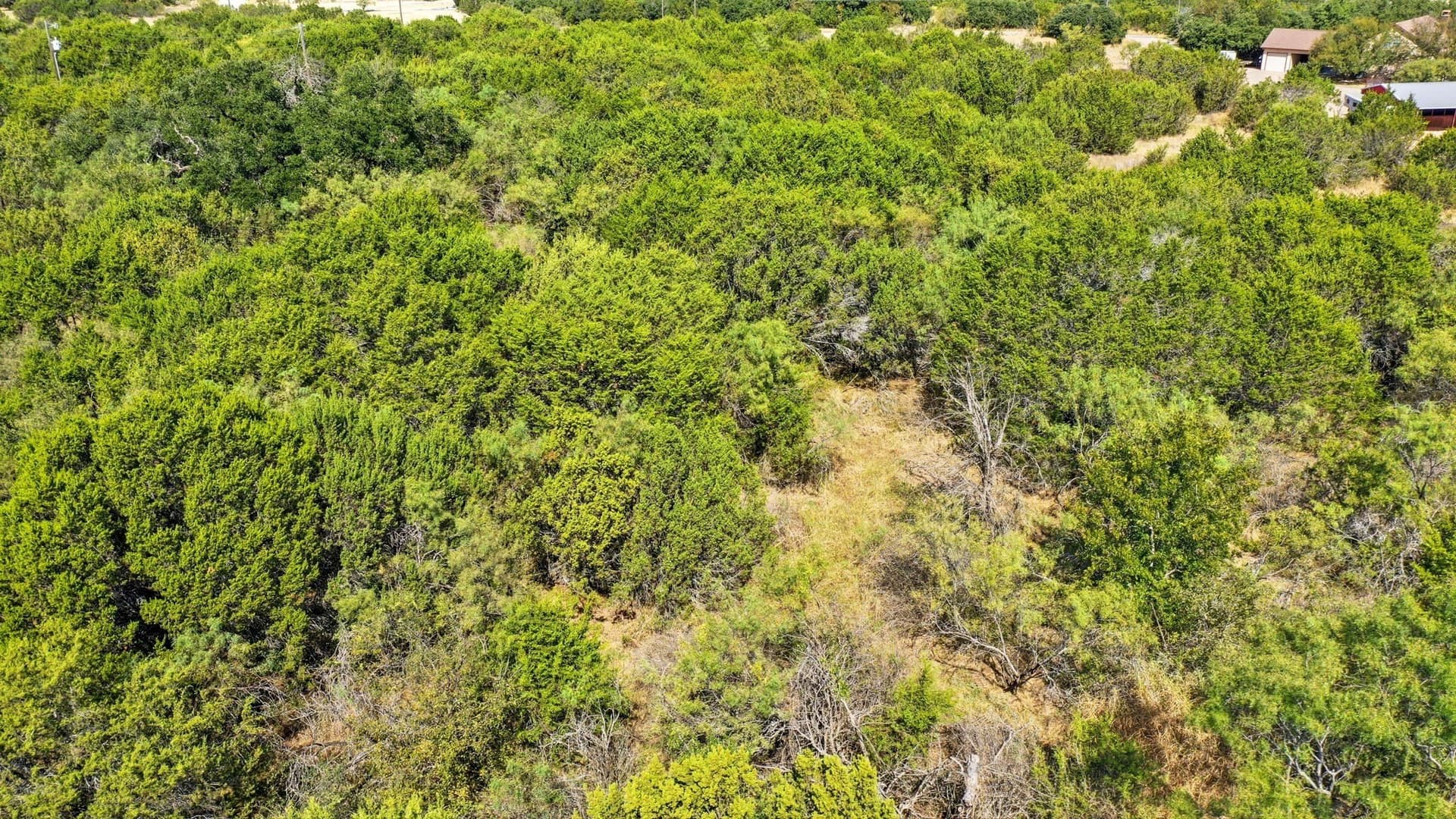5.15 acres in Erath County - photo 11