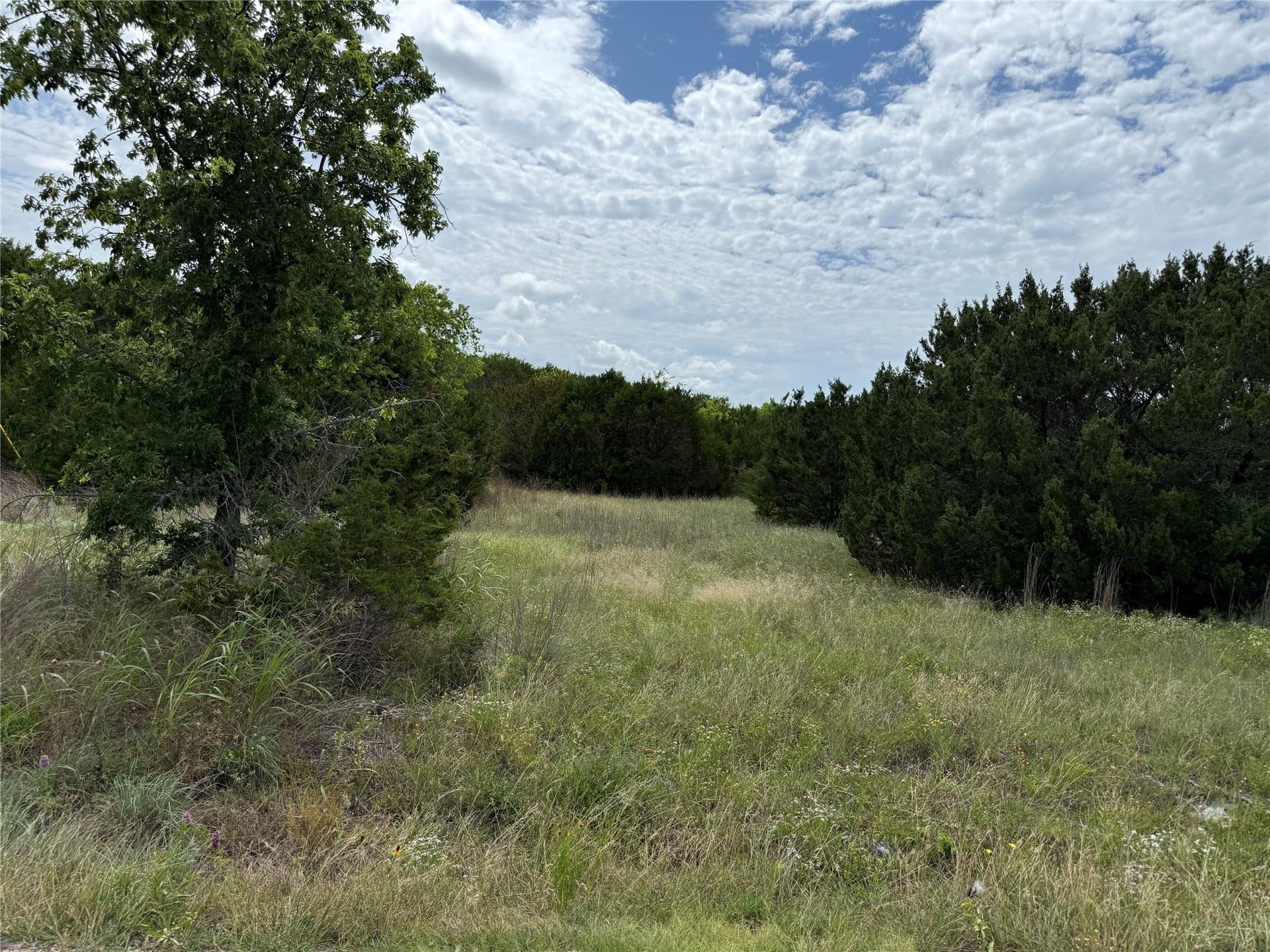 6.42 acres in Johnson County - photo 6