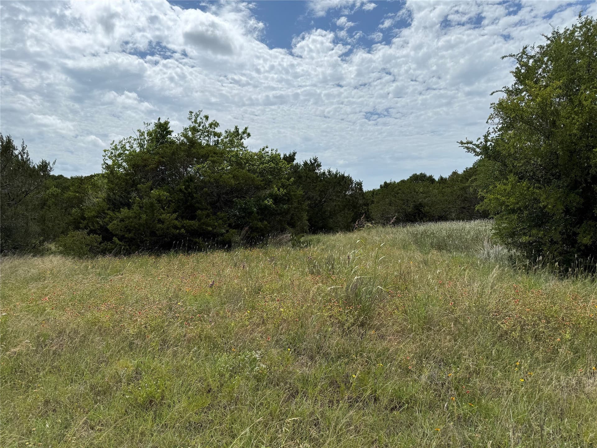 6.42 acres in Johnson County - photo 7