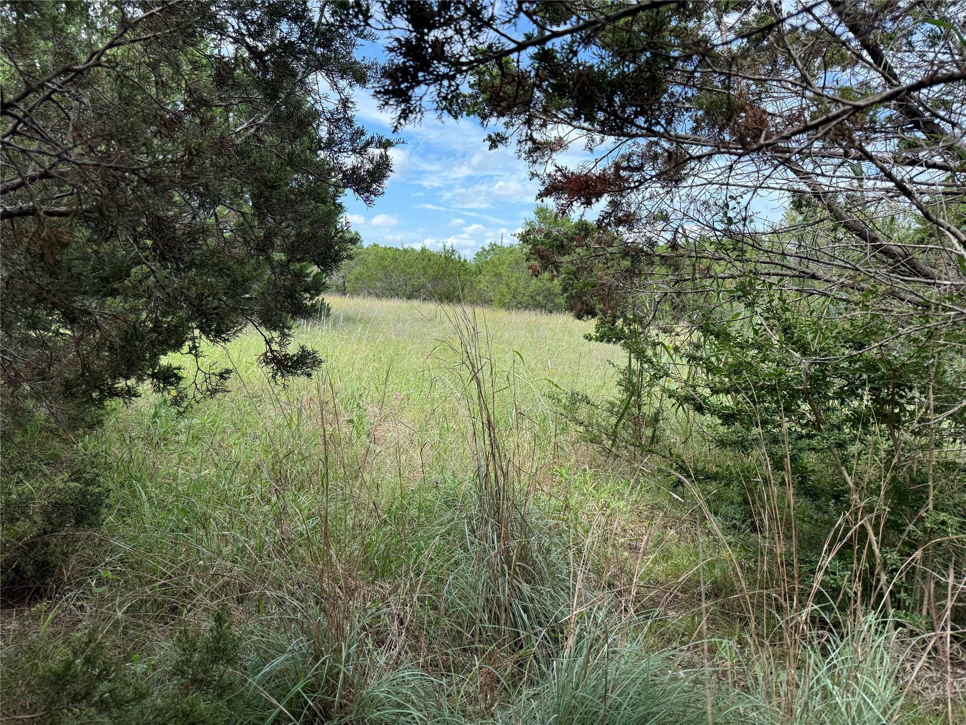 6.42 acres in Johnson County gallery image 2
