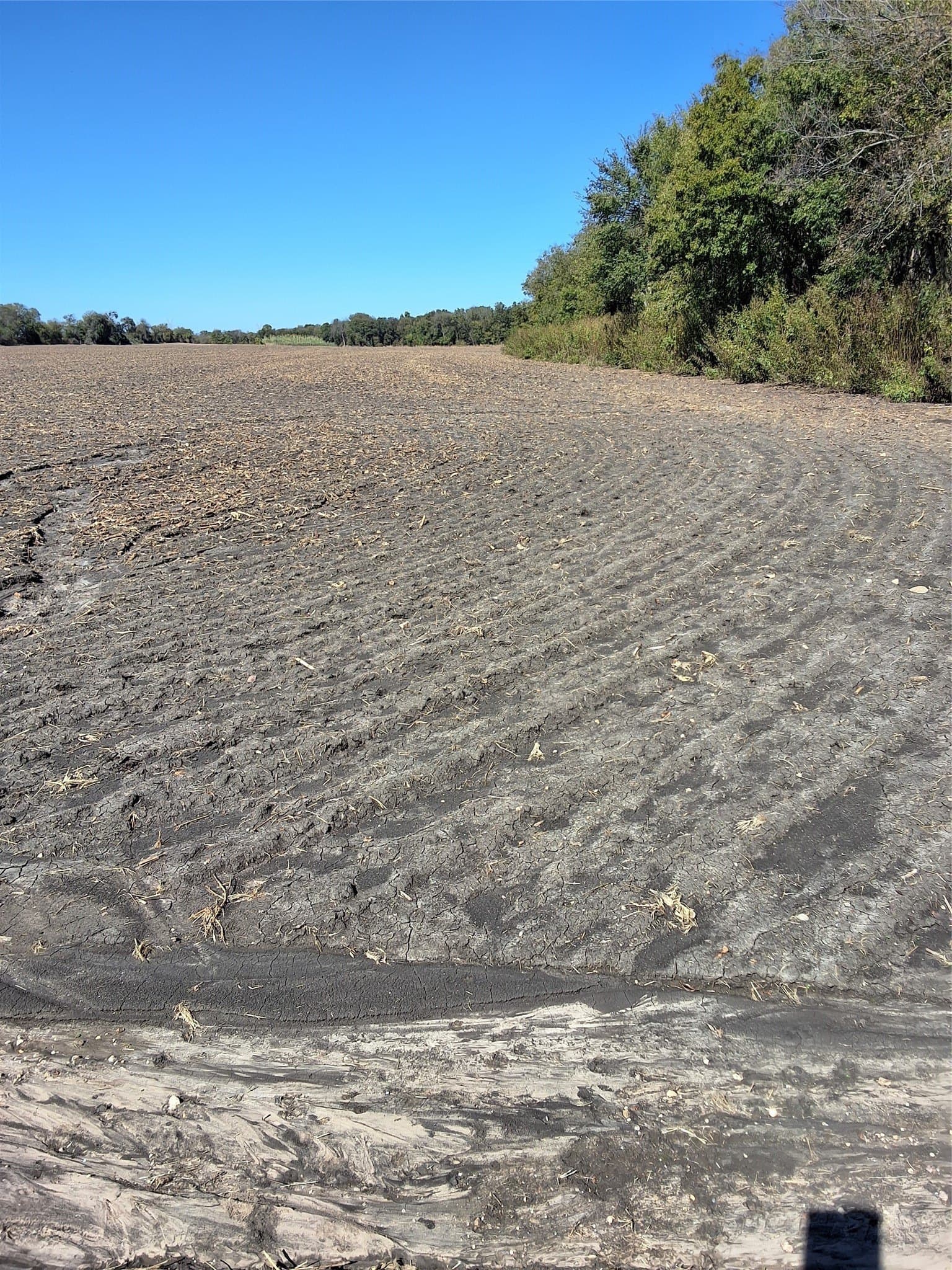 59.74 acres in Hill County gallery image 3