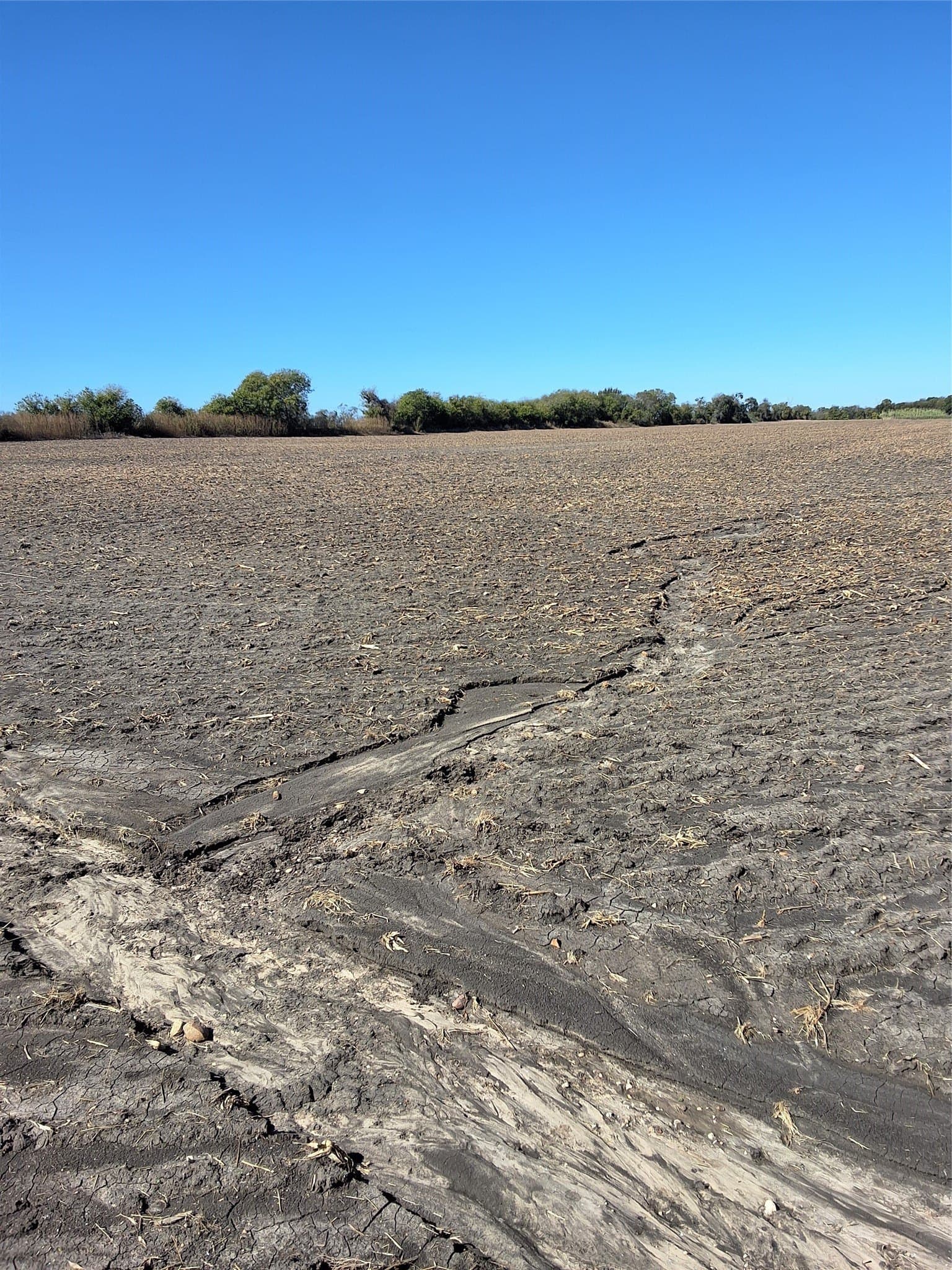 59.74 acres in Hill County gallery image 4