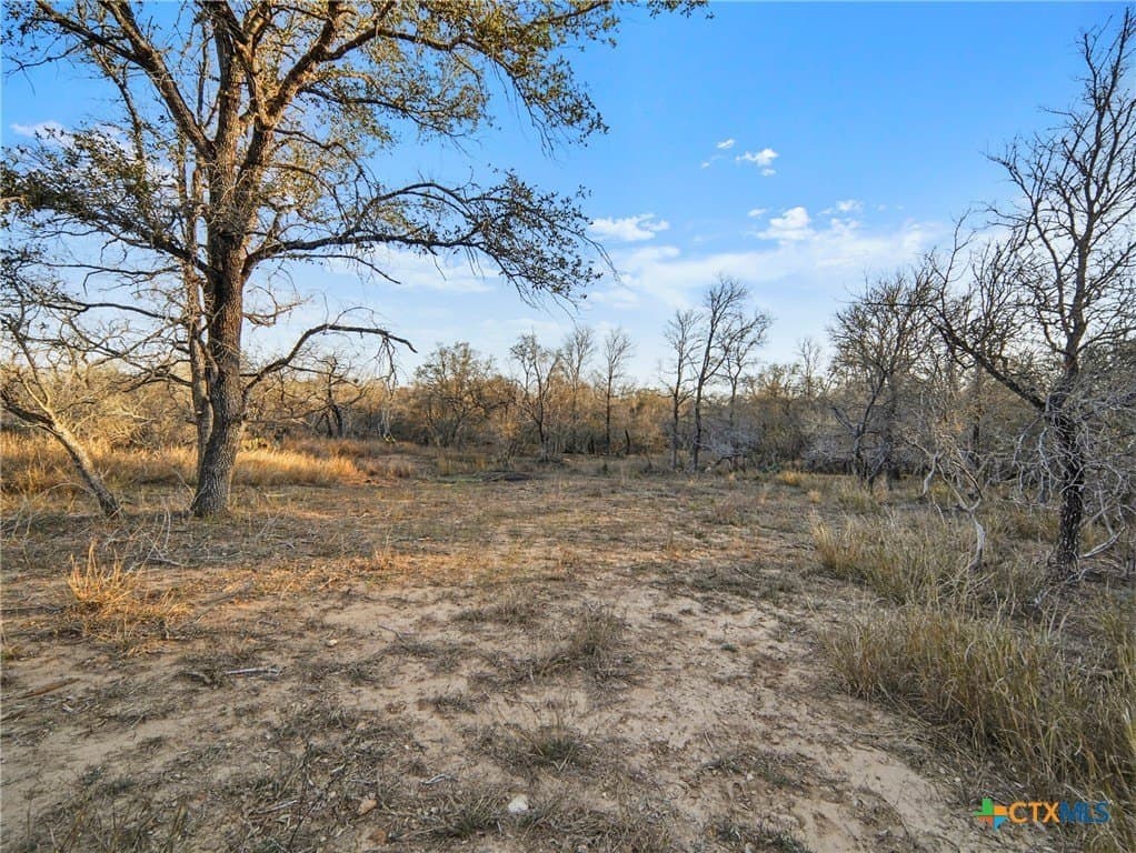 29 acres in Guadalupe County - photo 45