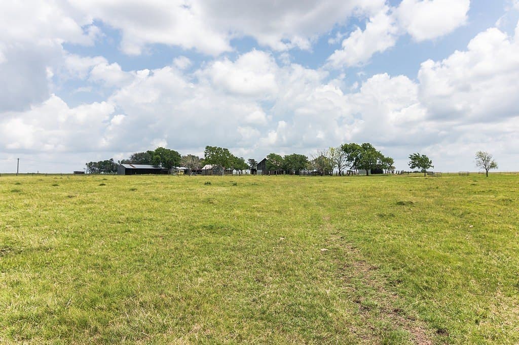 88.46 acres in Colorado County - photo 14