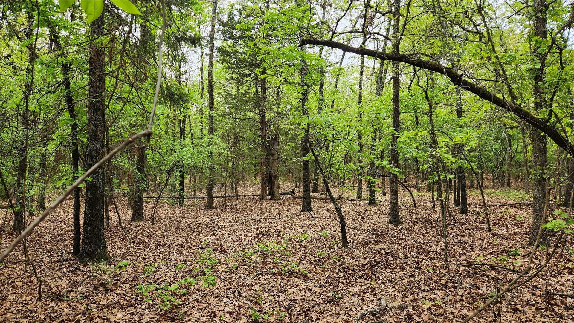 6.16 acres in Franklin (TX) County - photo 11
