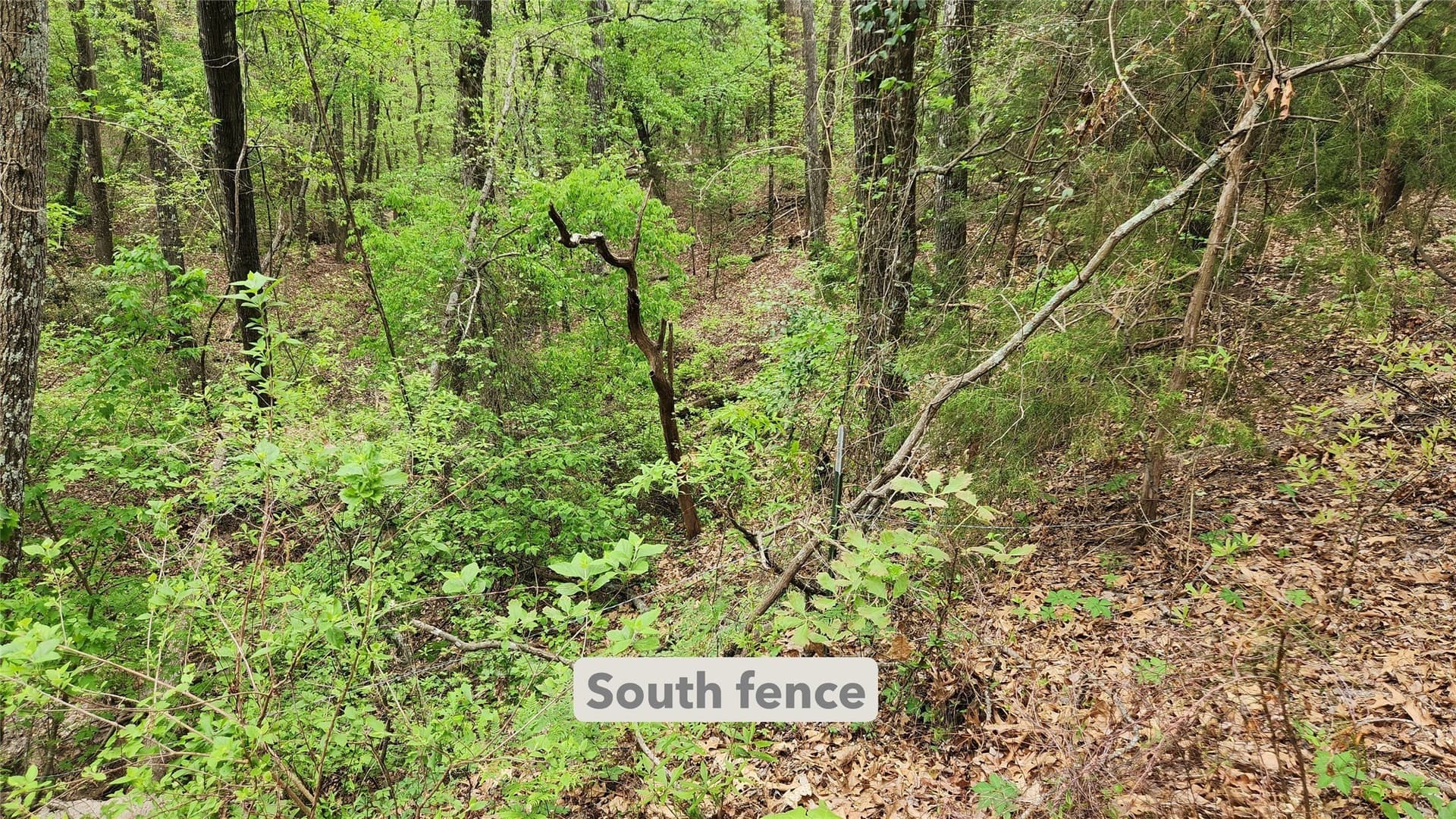 6.16 acres in Franklin (TX) County - photo 8
