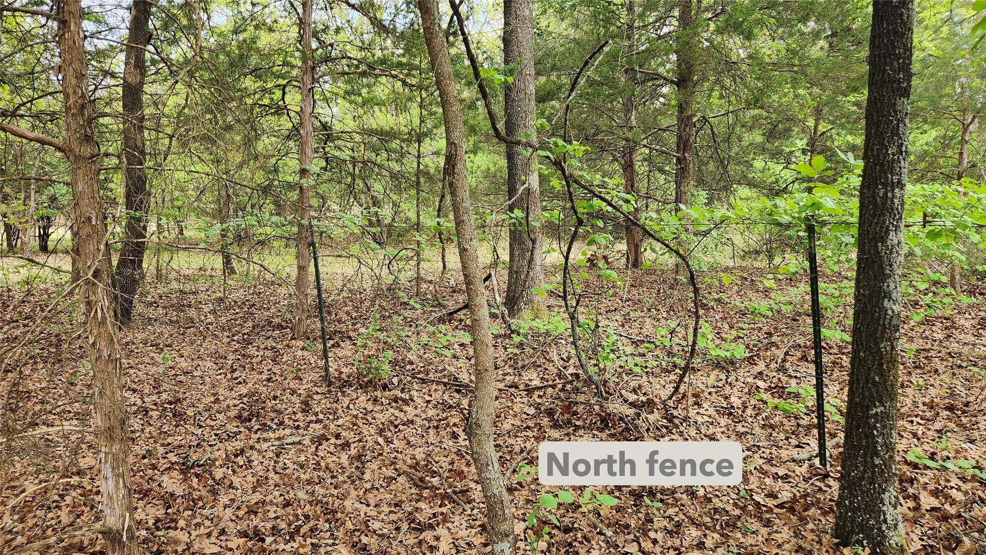 6.16 acres in Franklin (TX) County - photo 7