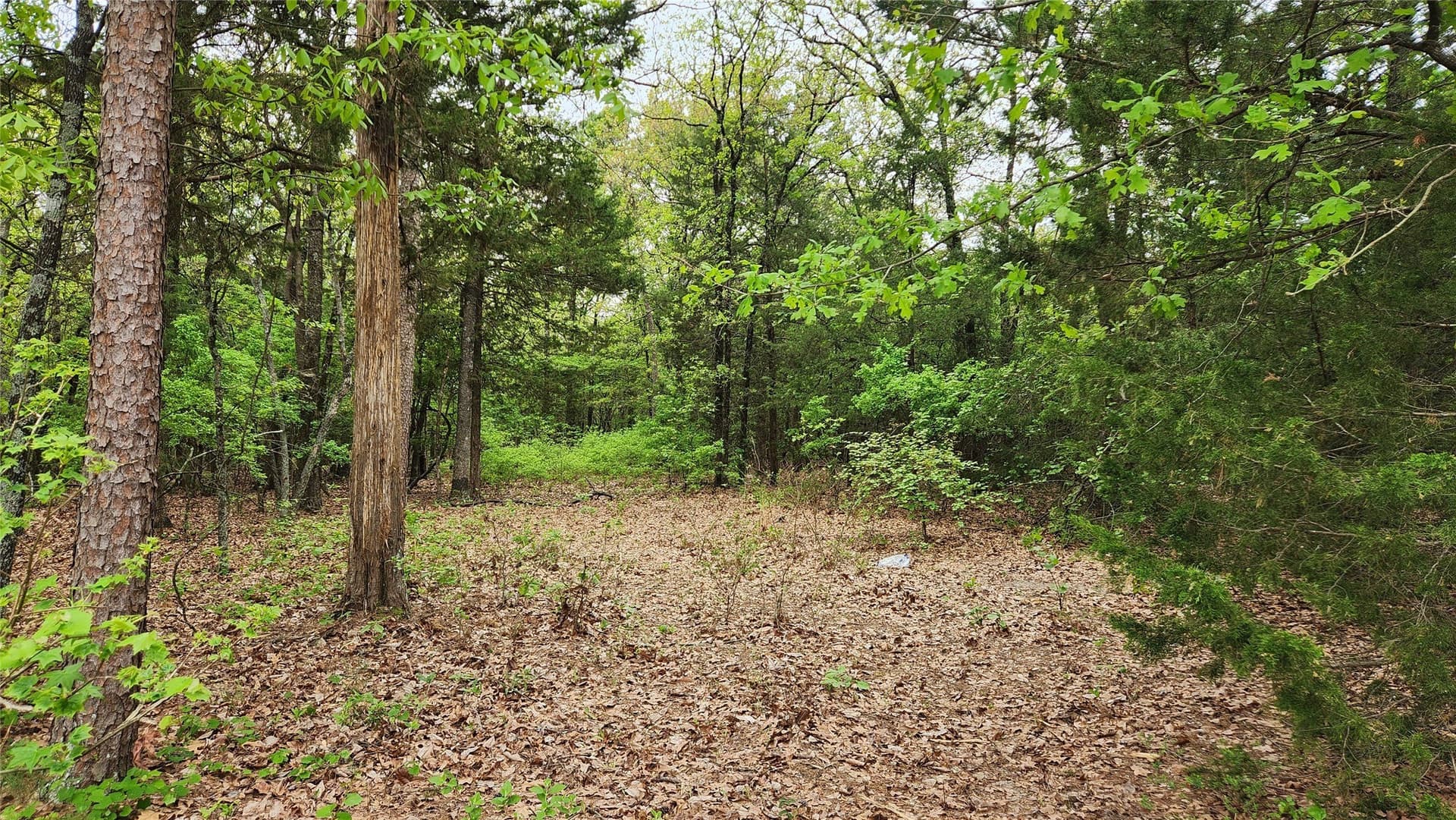 6.16 acres in Franklin (TX) County - photo 9