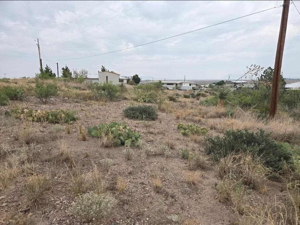 0.25 acres in Presidio County - photo 3