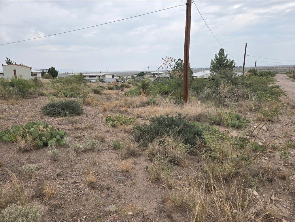 0.25 acres in Presidio County - photo 4