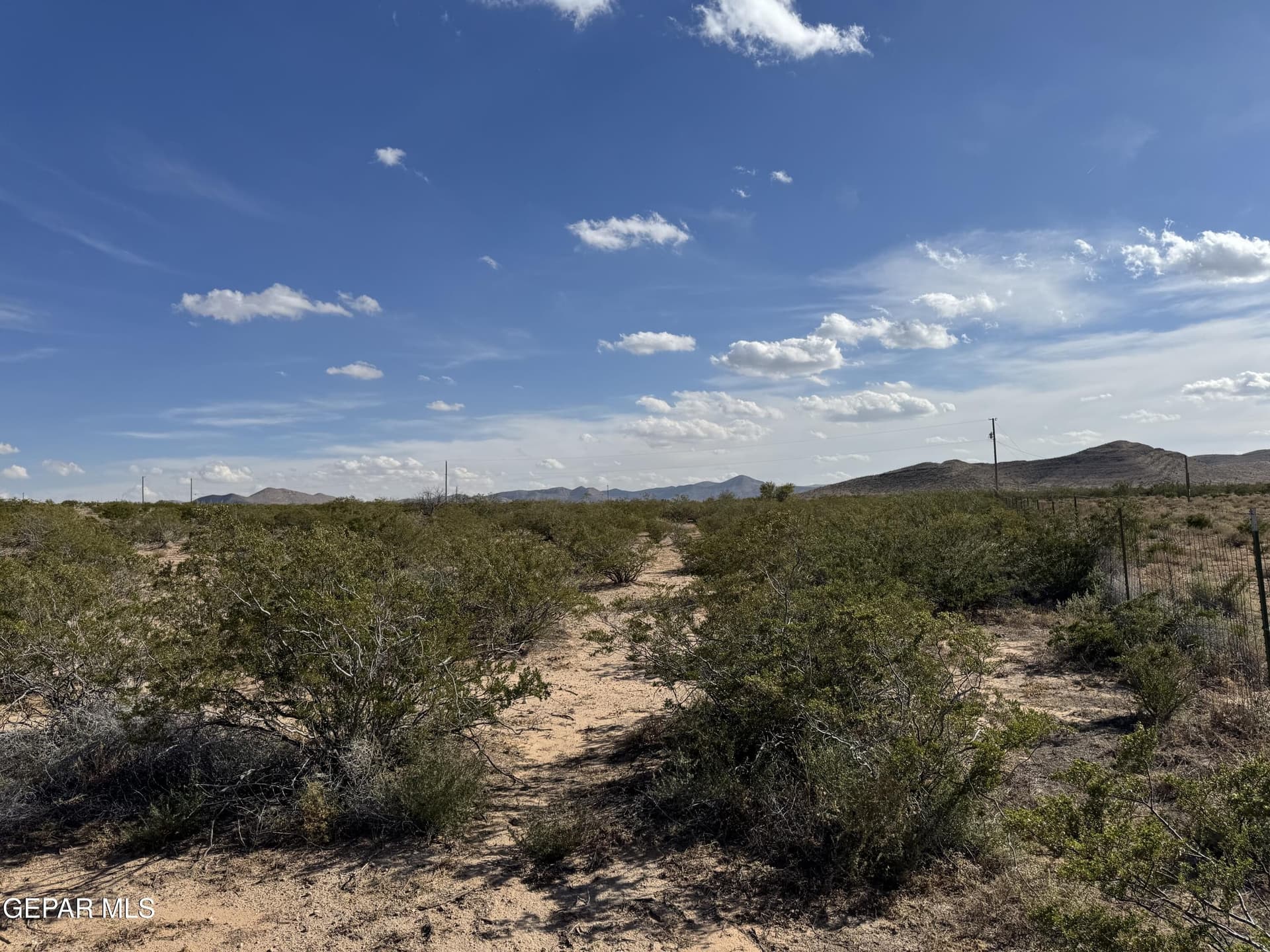 5.23 acres in El Paso County gallery image 3