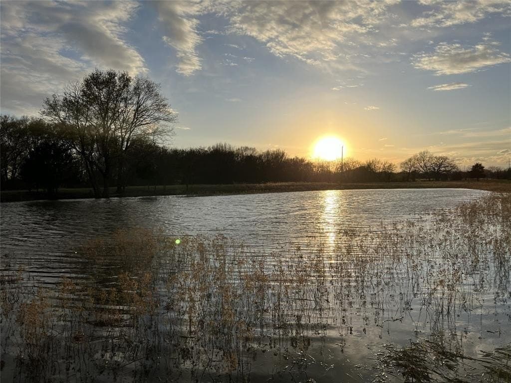 50 acres in Van Zandt County gallery image 4