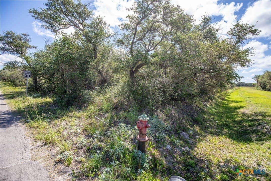 10 acres in Aransas County - photo 29