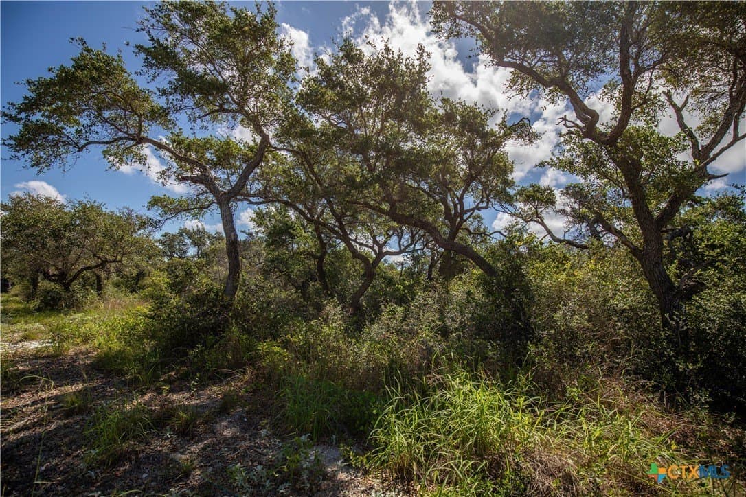 10 acres in Aransas County - photo 33