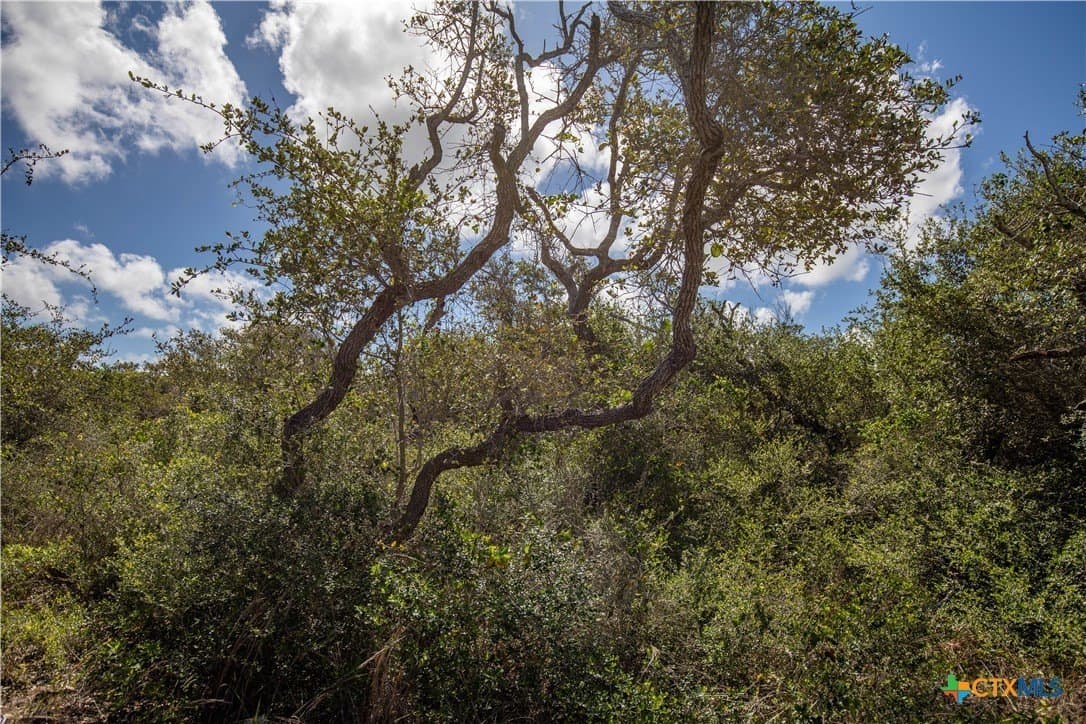 10 acres in Aransas County - photo 31