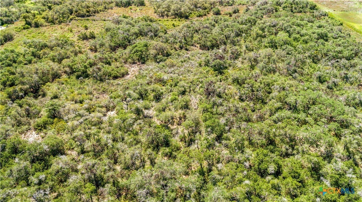 10 acres in Aransas County - photo 11