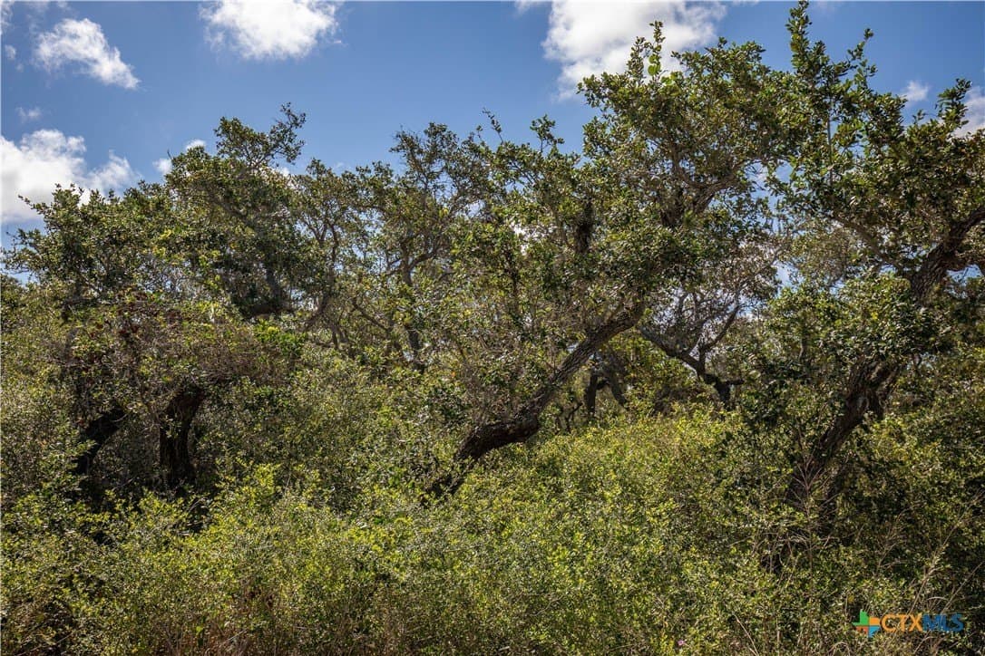 10 acres in Aransas County - photo 22
