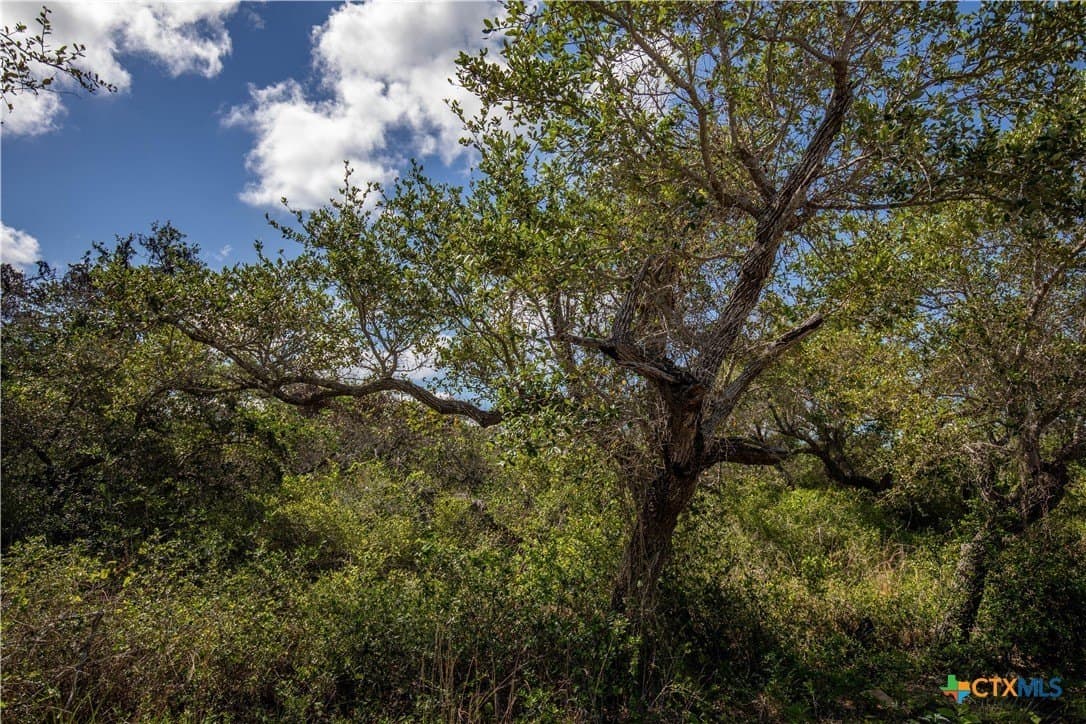 10 acres in Aransas County - photo 23