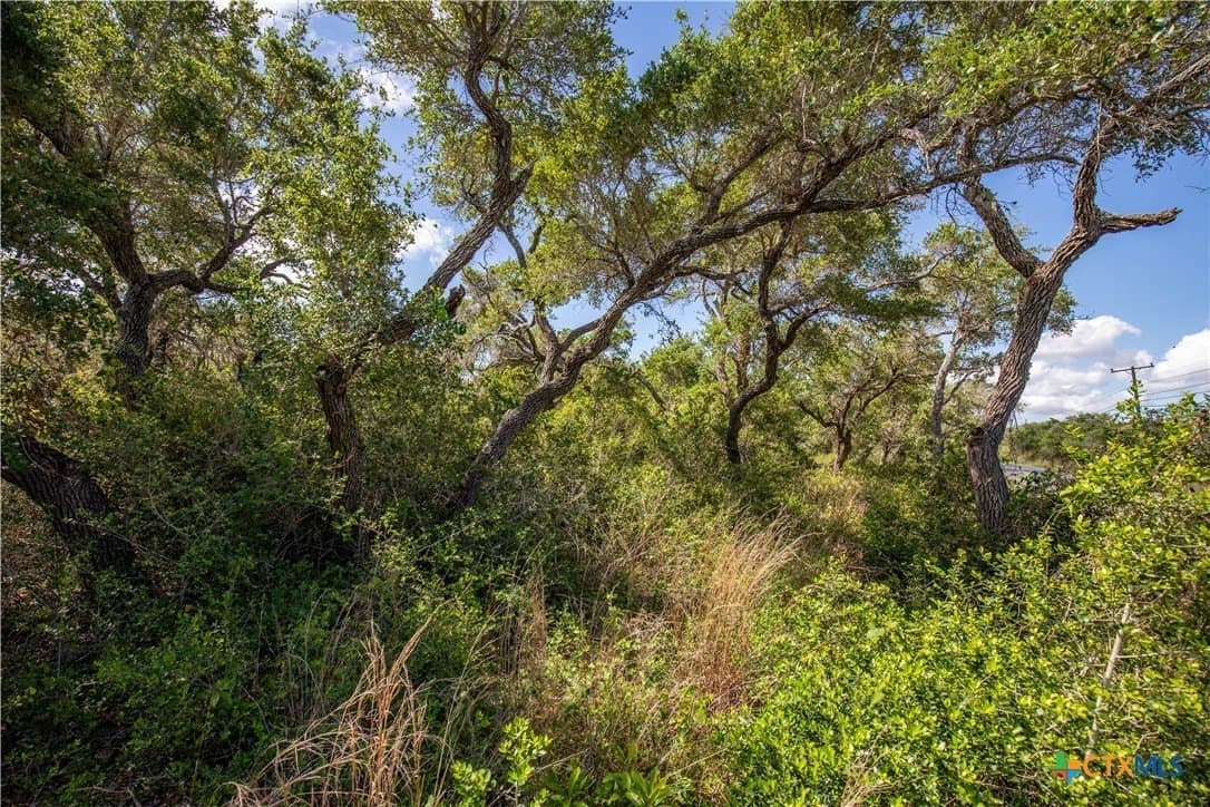 10 acres in Aransas County - photo 24