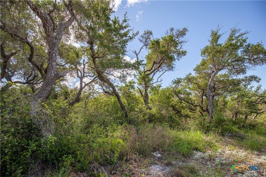 10 acres in Aransas County - photo 25