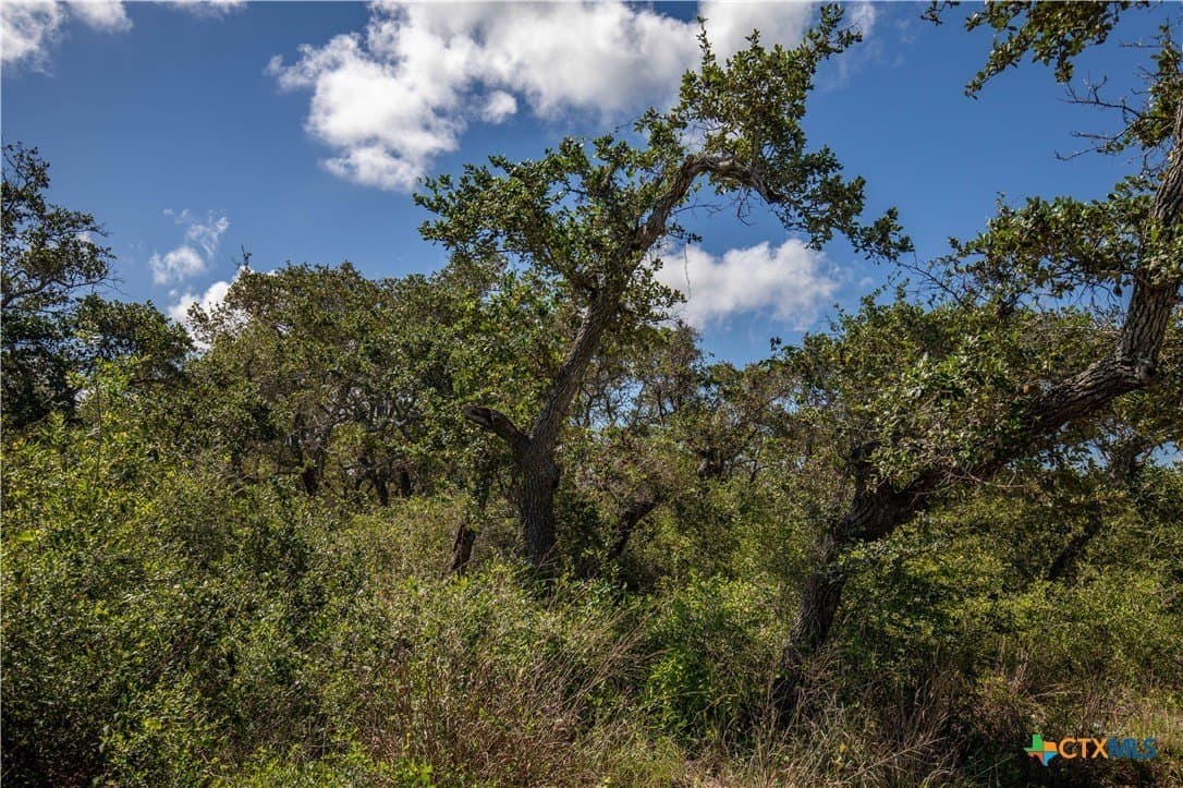 10 acres in Aransas County - photo 21