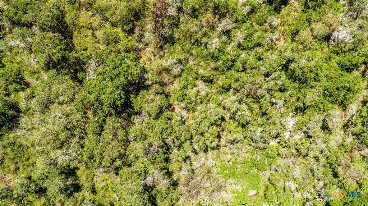 10 acres in Aransas County - photo 10