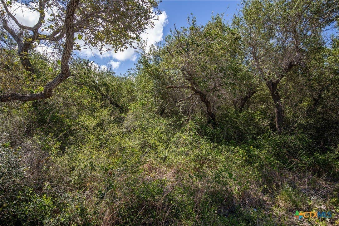 10 acres in Aransas County - photo 32