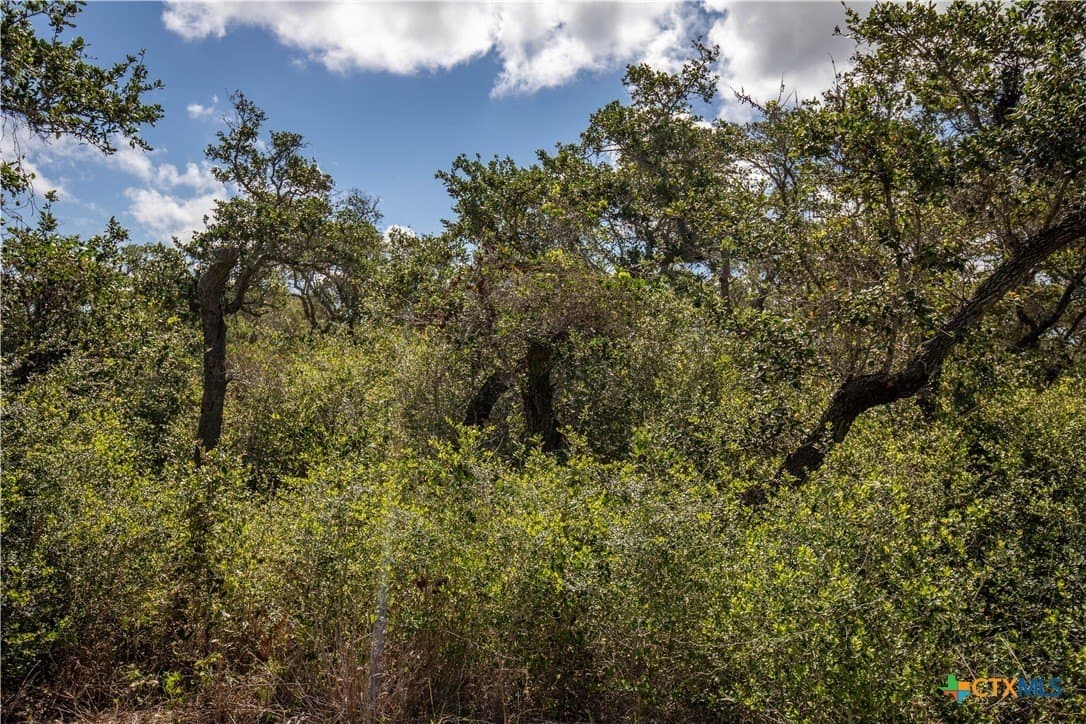 10 acres in Aransas County - photo 34