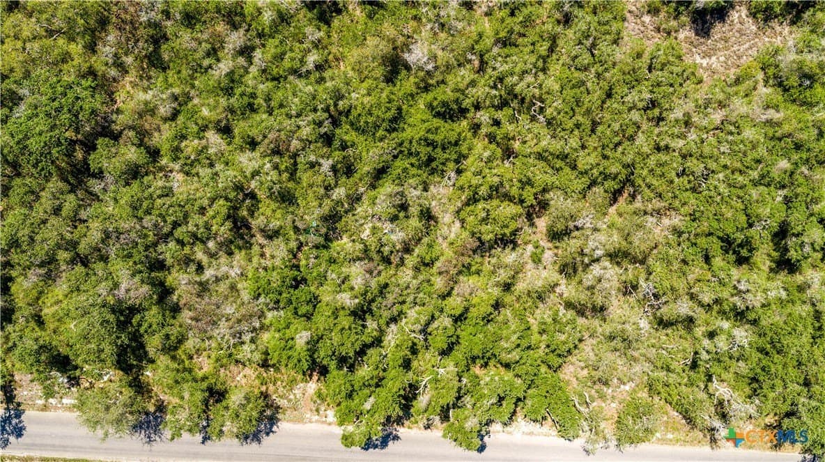 10 acres in Aransas County - photo 8