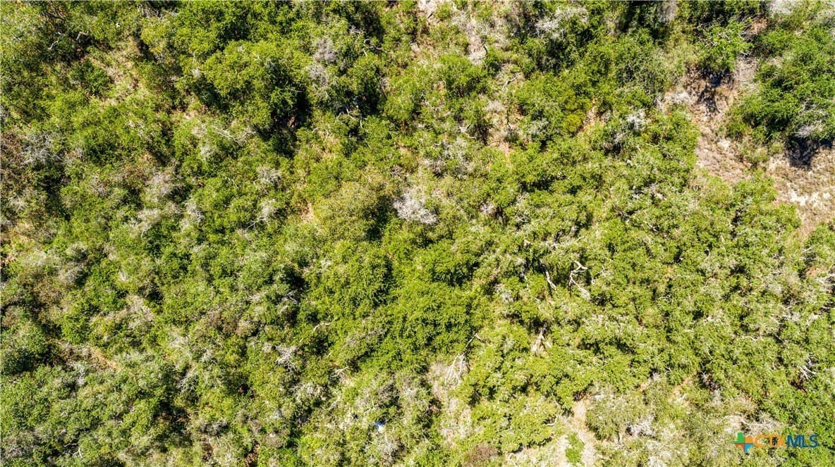 10 acres in Aransas County - photo 9