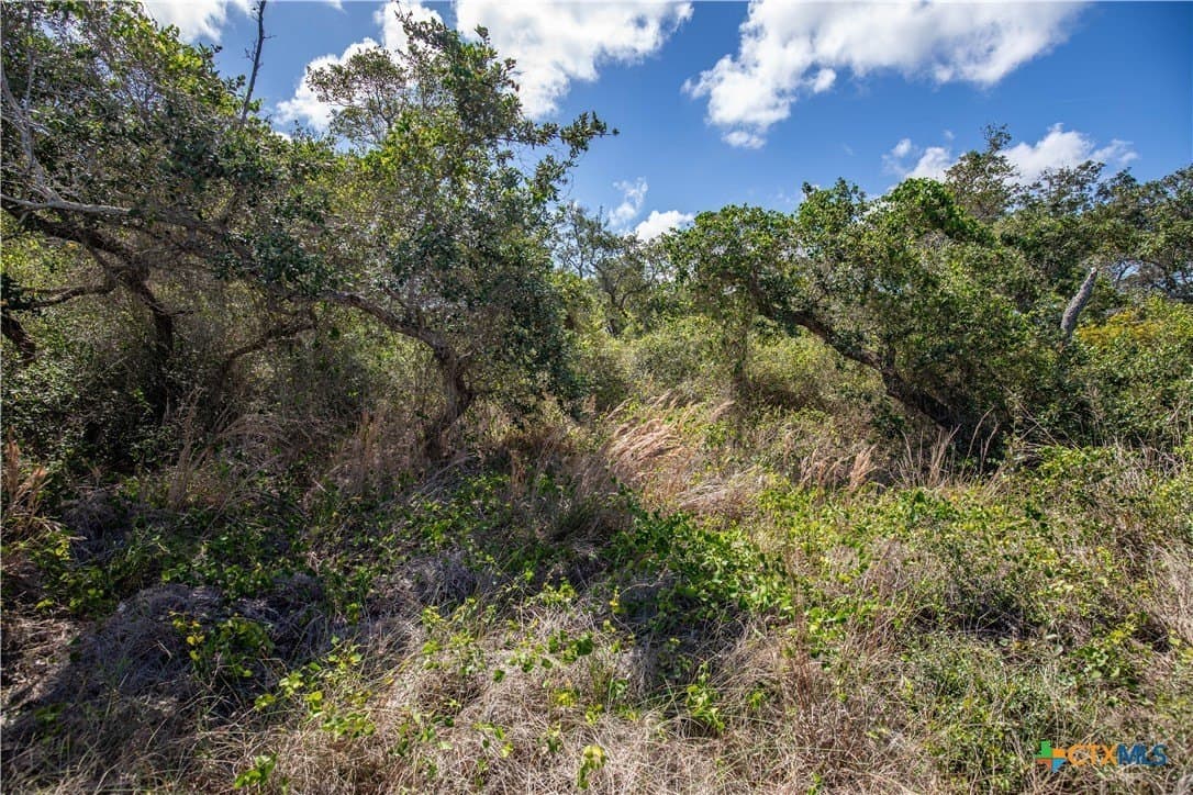 10 acres in Aransas County - photo 20