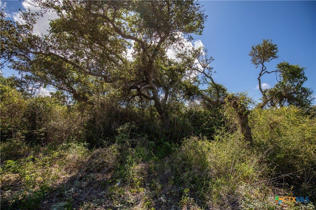 10 acres in Aransas County - photo 35