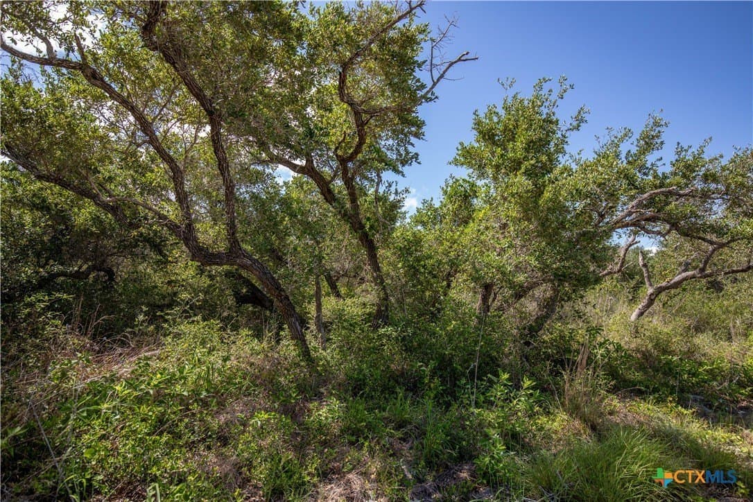 10 acres in Aransas County - photo 27