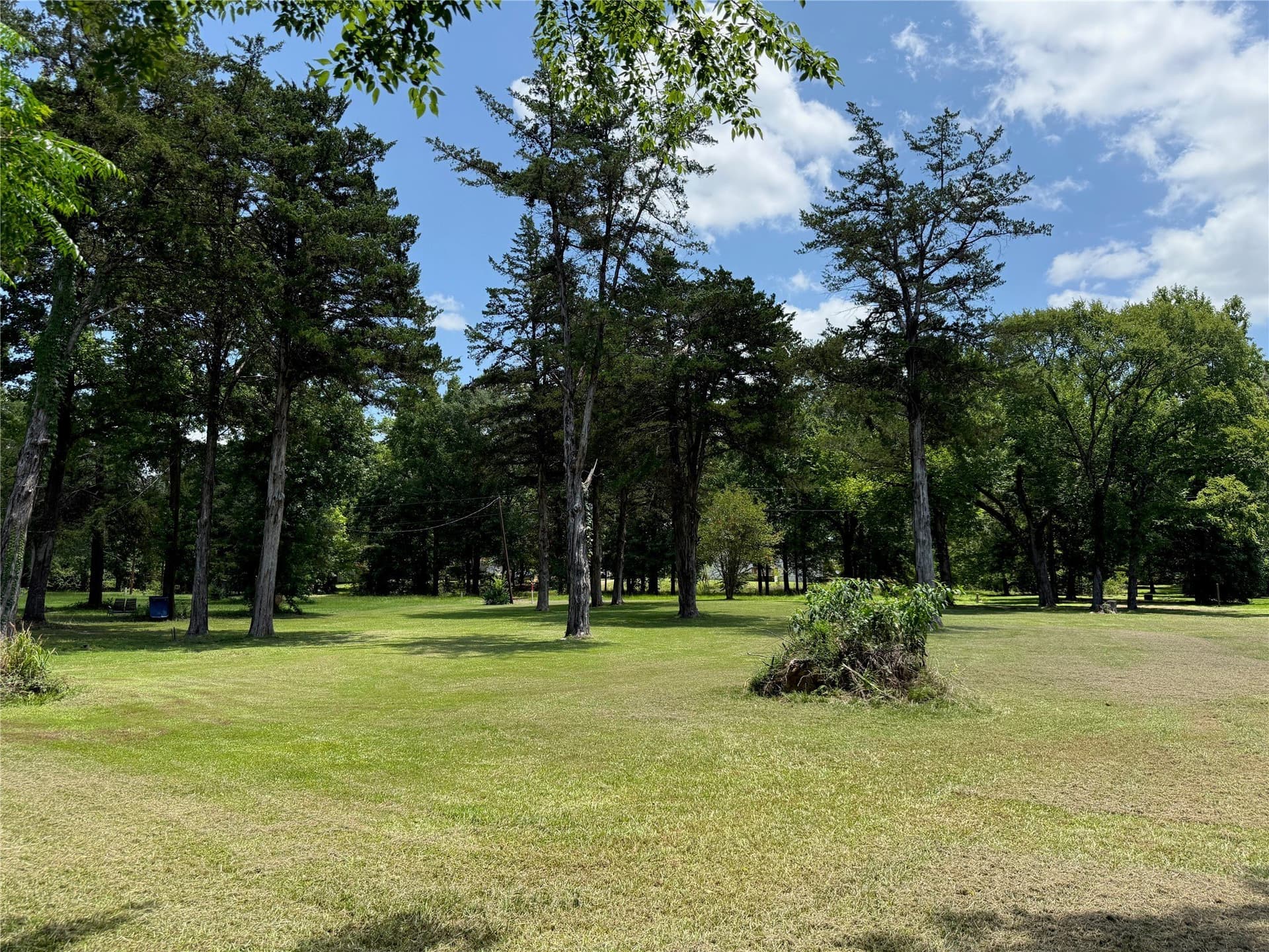 0.75 acres in Camp County gallery image 3