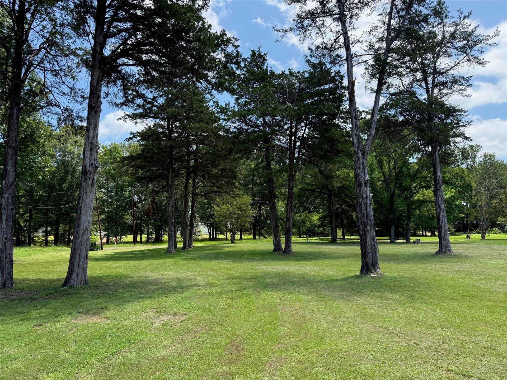 0.75 acres in Camp County gallery image 4