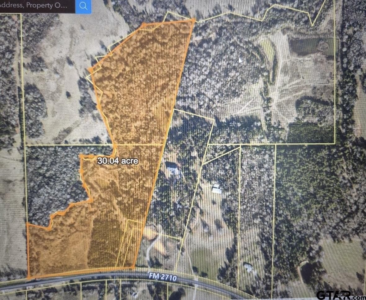30.04 acres in Smith County - photo 4