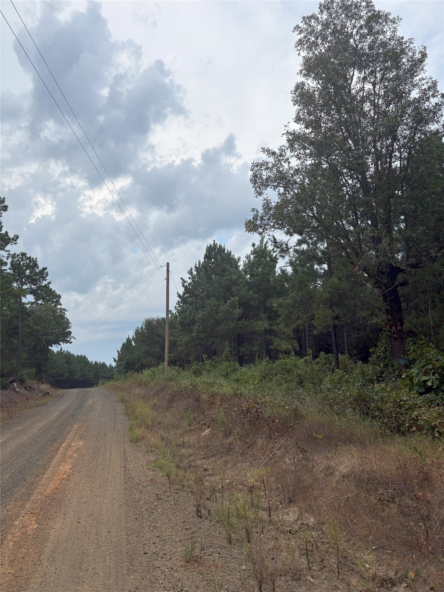 15.29 acres in Shelby County - photo 2