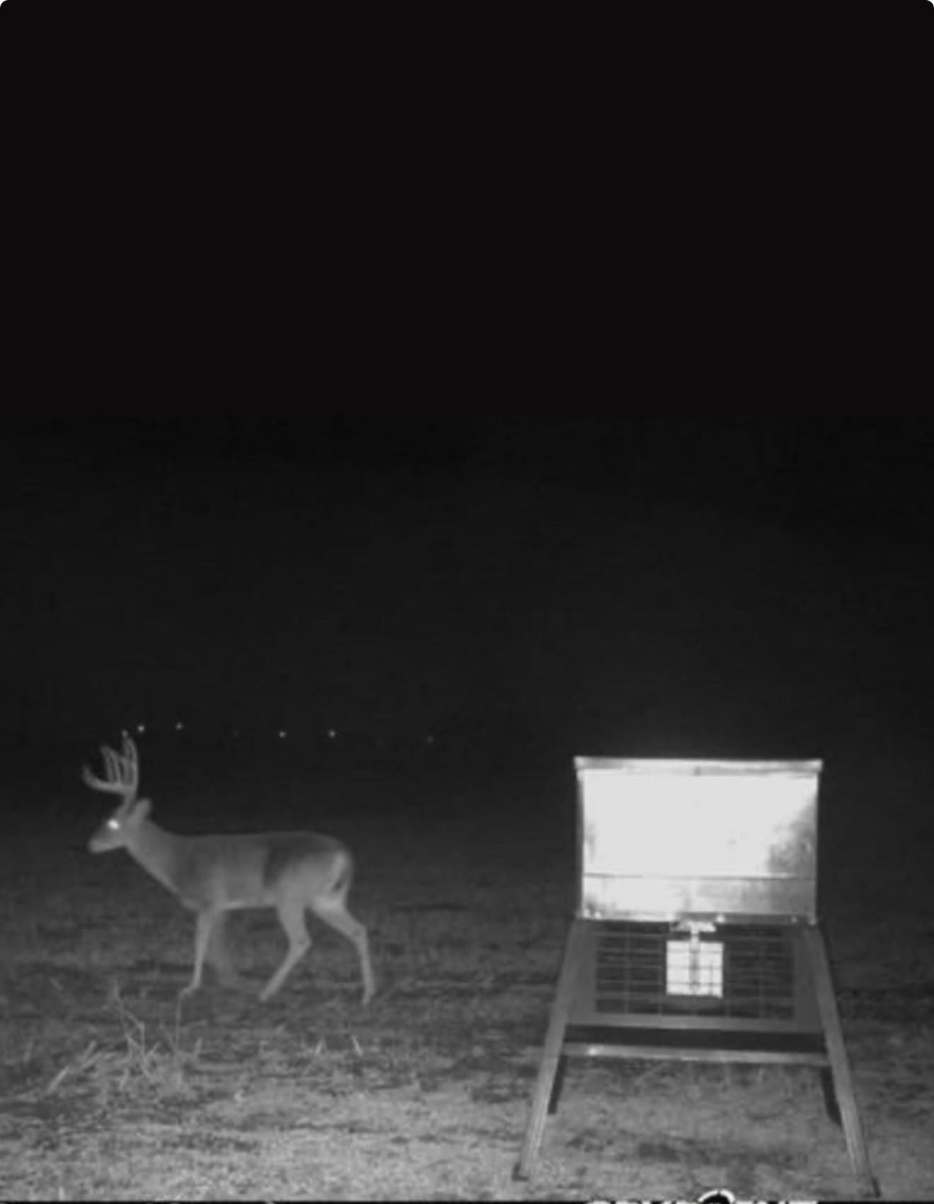 10 acres in Hill County - photo 14